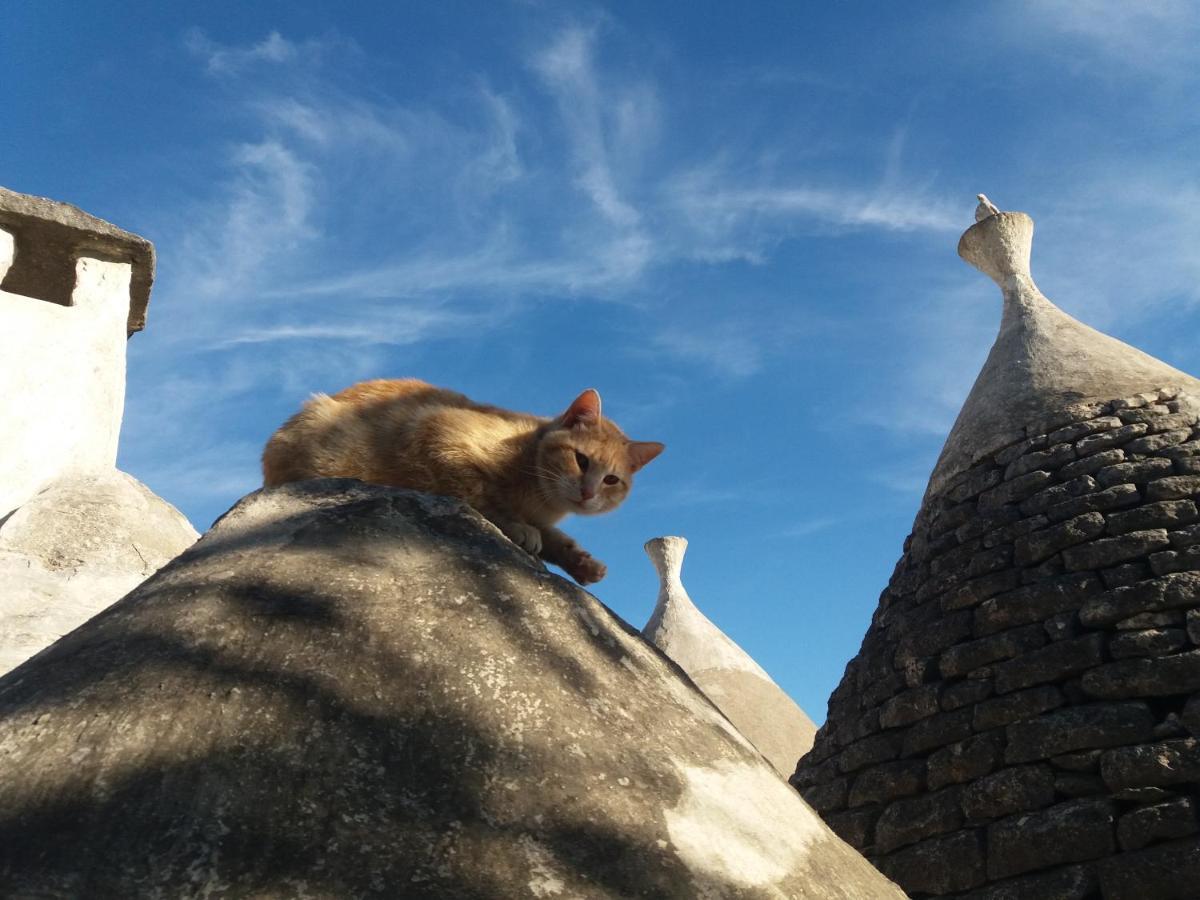Trulli Di Puglia - Casa Vacanze In Valle D'Itria Martina Franca Kültér fotó